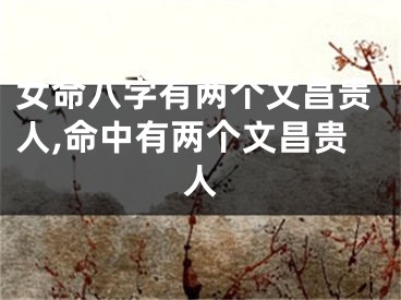 女命八字有两个文昌贵人,命中有两个文昌贵人