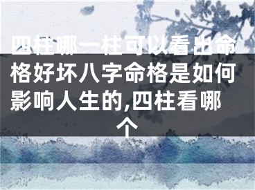 四柱哪一柱可以看出命格好坏八字命格是如何影响人生的,四柱看哪个