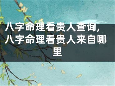八字命理看贵人查询,八字命理看贵人来自哪里