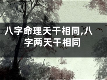 八字命理天干相同,八字两天干相同