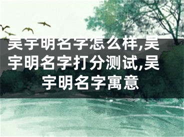 吴宇明名字怎么样,吴宇明名字打分测试,吴宇明名字寓意