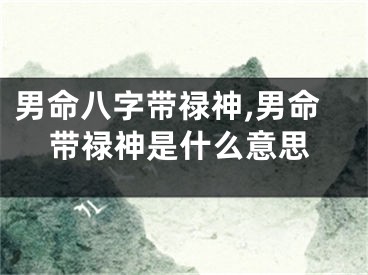 男命八字带禄神,男命带禄神是什么意思