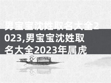 男宝宝沈姓取名大全2023,男宝宝沈姓取名大全2023年属虎