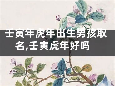 壬寅年虎年出生男孩取名,壬寅虎年好吗