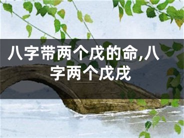 八字带两个戊的命,八字两个戊戌