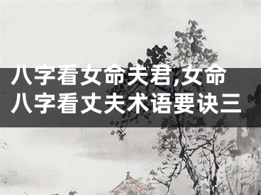 八字看女命夫君,女命八字看丈夫术语要诀三