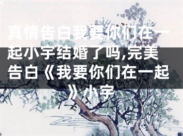 真情告白我要你们在一起小宇结婚了吗,完美告白《我要你们在一起》小宇