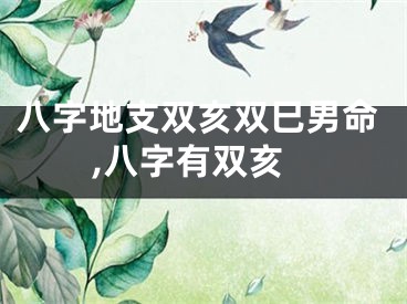 八字地支双亥双巳男命,八字有双亥