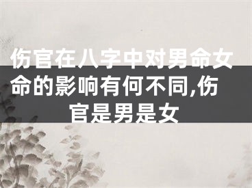 伤官在八字中对男命女命的影响有何不同,伤官是男是女