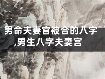 男命夫妻宫被合的八字,男生八字夫妻宫