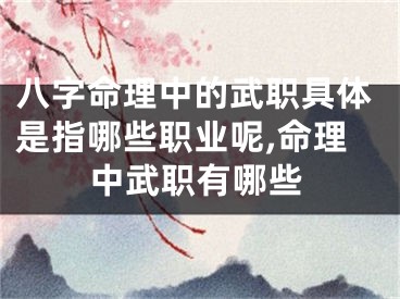 八字命理中的武职具体是指哪些职业呢,命理中武职有哪些
