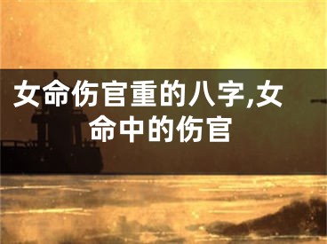 女命伤官重的八字,女命中的伤官