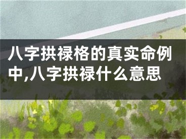 八字拱禄格的真实命例中,八字拱禄什么意思
