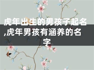 虎年出生的男孩子起名,虎年男孩有涵养的名字
