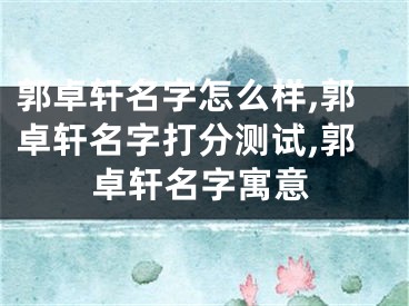 郭卓轩名字怎么样,郭卓轩名字打分测试,郭卓轩名字寓意