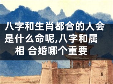 八字和生肖都合的人会是什么命呢,八字和属相 合婚哪个重要