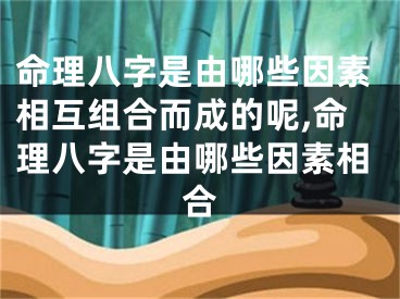 命理八字是由哪些因素相互组合而成的呢,命理八字是由哪些因素相合