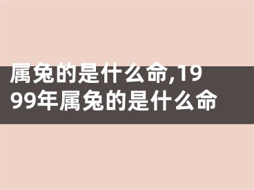 属兔的是什么命,1999年属兔的是什么命