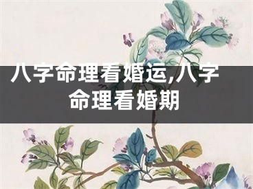 八字命理看婚运,八字命理看婚期