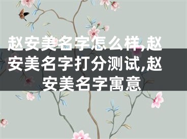 赵安美名字怎么样,赵安美名字打分测试,赵安美名字寓意