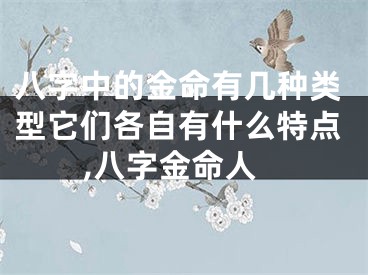 八字中的金命有几种类型它们各自有什么特点,八字金命人