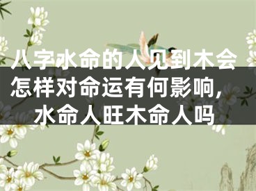 八字水命的人见到木会怎样对命运有何影响,水命人旺木命人吗
