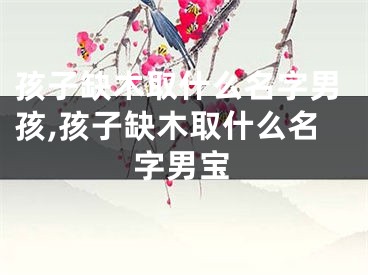 孩子缺木取什么名字男孩,孩子缺木取什么名字男宝