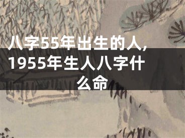 八字55年出生的人,1955年生人八字什么命