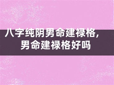 八字纯阴男命建禄格,男命建禄格好吗