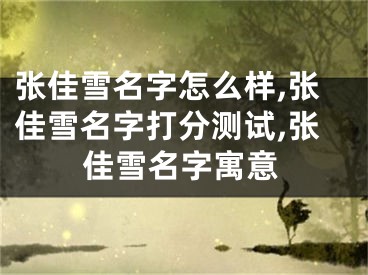 张佳雪名字怎么样,张佳雪名字打分测试,张佳雪名字寓意