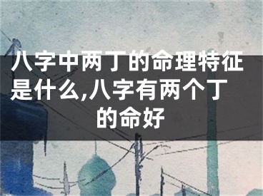 八字中两丁的命理特征是什么,八字有两个丁的命好