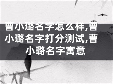 曹小璐名字怎么样,曹小璐名字打分测试,曹小璐名字寓意