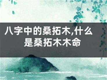 八字中的桑拓木,什么是桑拓木木命
