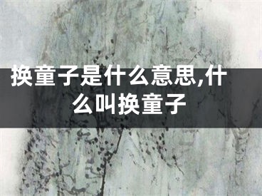 换童子是什么意思,什么叫换童子