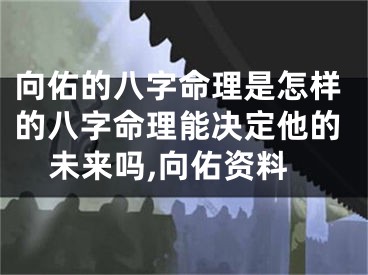 向佑的八字命理是怎样的八字命理能决定他的未来吗,向佑资料