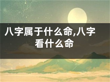 八字属于什么命,八字看什么命