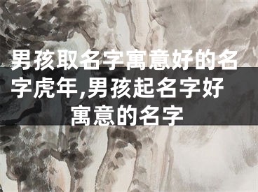 男孩取名字寓意好的名字虎年,男孩起名字好寓意的名字