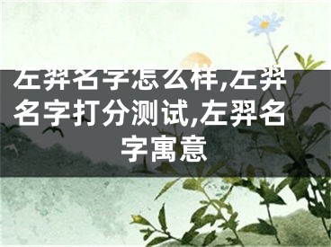 左羿名字怎么样,左羿名字打分测试,左羿名字寓意