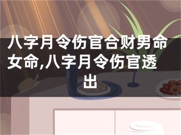 八字月令伤官合财男命女命,八字月令伤官透出