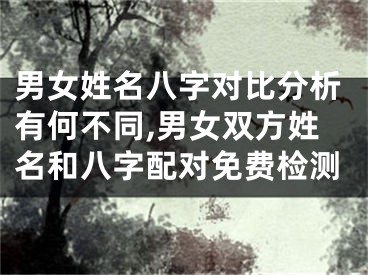 男女姓名八字对比分析有何不同,男女双方姓名和八字配对免费检测