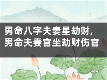 男命八字夫妻星劫财,男命夫妻宫坐劫财伤官