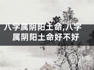 八字属阴阳土命,八字属阴阳土命好不好