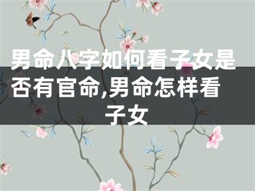 男命八字如何看子女是否有官命,男命怎样看子女