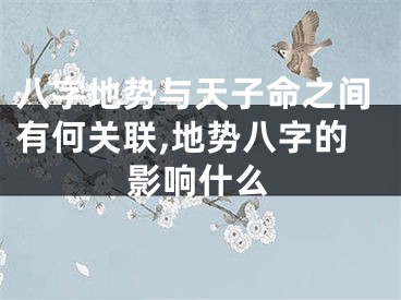 八字地势与天子命之间有何关联,地势八字的影响什么
