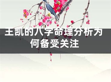 王凯的八字命理分析为何备受关注