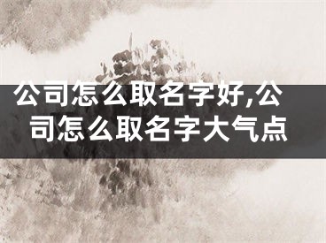 公司怎么取名字好,公司怎么取名字大气点