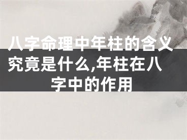 八字命理中年柱的含义究竟是什么,年柱在八字中的作用