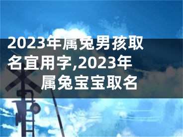 2023年属兔男孩取名宜用字,2023年属兔宝宝取名