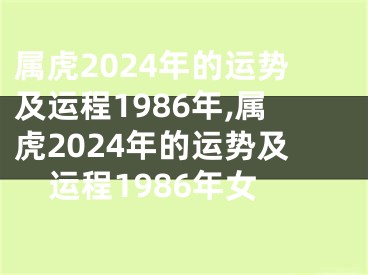 属虎2024年的运势及运程1986年,属虎2024年的运势及运程1986年女