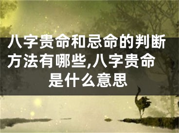 八字贵命和忌命的判断方法有哪些,八字贵命是什么意思